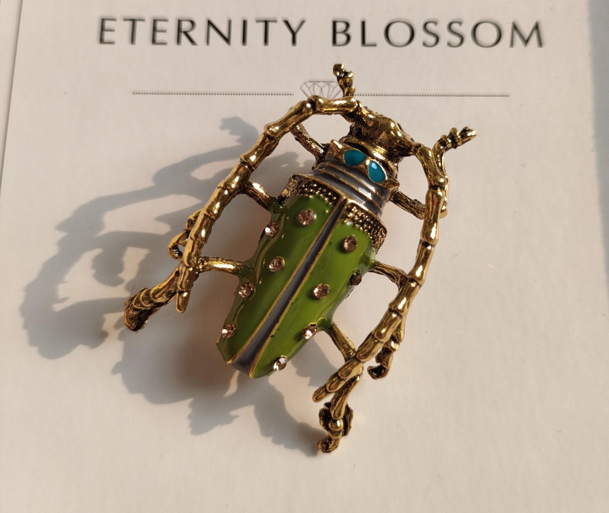 Broche Insetos e Pássaros